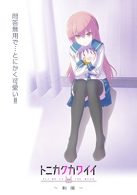 دانلود زیرنویس فارسی سریال Tonikaku Kawaii: Seifuku 2022