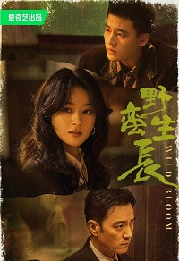 دانلود زیرنویس فارسی سریال Wild Bloom 2022