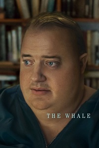 دانلود زیرنویس فارسی فیلم The Whale 2022
