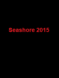 دانلود زیرنویس فارسی فیلم Seashore 2015