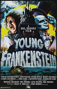 دانلود زیرنویس فارسی فیلم Young Frankenstein 1974