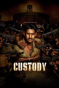 دانلود زیرنویس فارسی فیلم Custody 2023