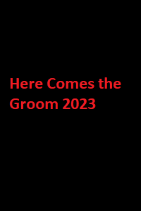 دانلود زیرنویس فارسی فیلم Here Comes the Groom 2023
