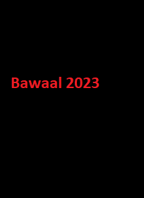 دانلود زیرنویس فارسی فیلم Bawaal 2023