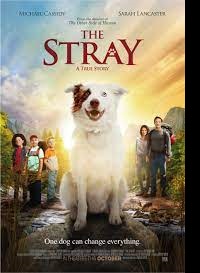 دانلود زیرنویس فارسی فیلم The Stray 2017