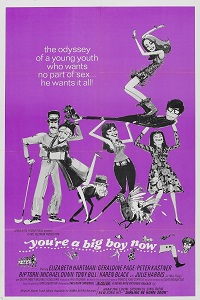 دانلود زیرنویس فارسی فیلم You’re a Big Boy Now 1966
