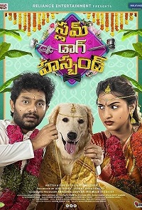 دانلود زیرنویس فارسی فیلم Slum Dog Husband 2023