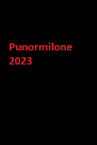دانلود زیرنویس فارسی فیلم Punormilone 2023