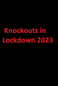 دانلود زیرنویس فیلم Knockouts in Lockdown 2023 - بلو سابتايتل