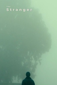 دانلود زیرنویس فارسی فیلم The Stranger 2021
