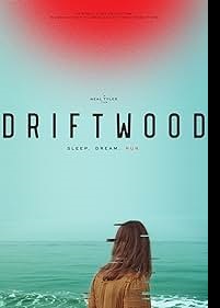 دانلود زیرنویس فارسی فیلم Driftwood 2023