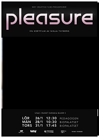 دانلود زیرنویس فارسی فیلم Pleasure 2013