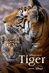 دانلود زیرنویس فارسی فیلم Tiger 2024