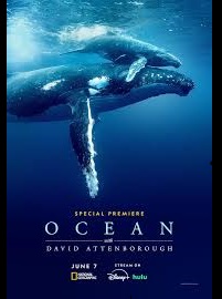 دانلود فیلم Ocean with David Attenborough 2025 (اقیانوس با دیوید اتنبرو 2025) رایگان